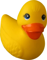 WEBP