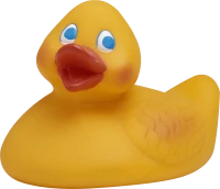 WEBP