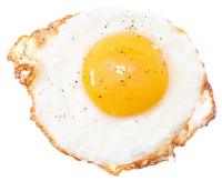 WEBP