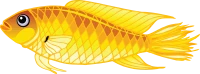 WEBP