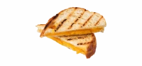 WEBP