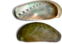 WEBP