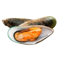 WEBP