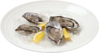 WEBP
