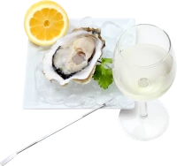 WEBP