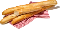 WEBP