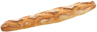 WEBP