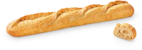 WEBP