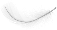 WEBP