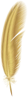 WEBP