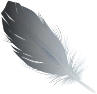WEBP