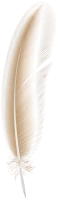 WEBP