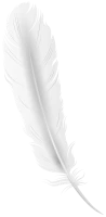 WEBP