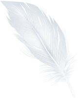 WEBP
