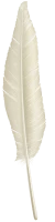 WEBP