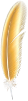 WEBP