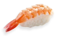 WEBP
