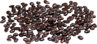 WEBP