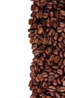WEBP