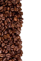 WEBP