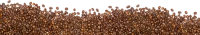 WEBP