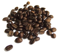 WEBP