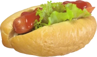 WEBP