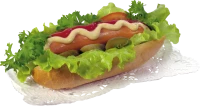 WEBP
