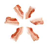 WEBP