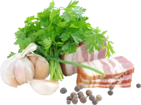 WEBP