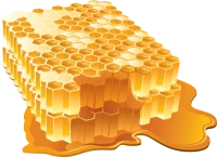 WEBP