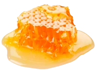 WEBP