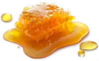 WEBP