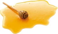 WEBP