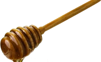 WEBP