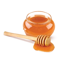 WEBP