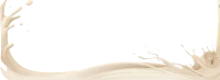 WEBP