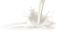 WEBP