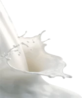 WEBP
