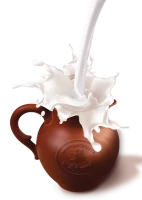 WEBP