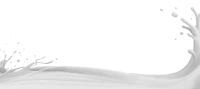 WEBP