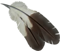 WEBP