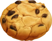 WEBP