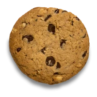 WEBP