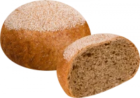 WEBP